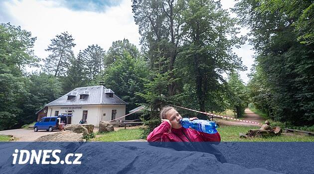 Kuru bir ıhlamur Valdštejn Kalesi yakınındaki turistleri tehdit ediyor, güvenlik bantlarını görmezden geliyorlar