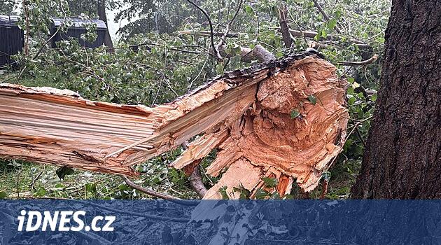 Polise göre, Braník'te ağacın bir kısmının iki kişinin üzerine düşmesi talihsiz bir kazaydı
