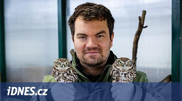 Yetiştirme programı sayesinde Vysočina'da yetiştirilen Sýčić'ler şimdiden Pilsen'e uçuyor