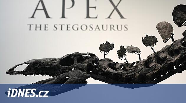 Çok ileri bir yaşa kadar yaşadı ve artrit hastasıydı.  Artık stegosaurus iskeleti müzayede evi tarafından satışa sunulacak