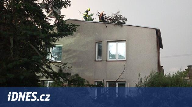 Rüzgar, fırtına sırasında ağacı tam anlamıyla evcilleştirdi, tanıklar köknarın aile evine düştüğünü anlatıyor