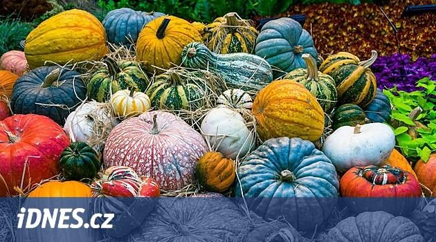 Hava dalgalanmaları Çek balkabağının yetiştirilmesini zorlaştırdı. İthalat artacak