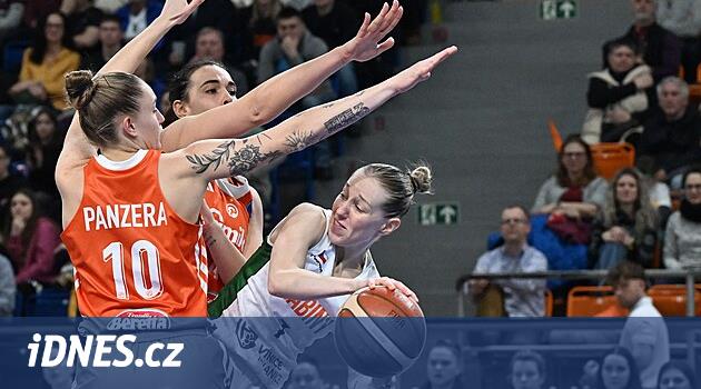 Euroleague göründüğünden daha zor. Koç Žabin, saflığın da bizi çökerttiğini düşünüyor