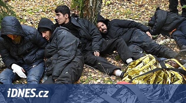 Göçmen AB'ye karşı bir silahtır. Belarus'un istikrarsızlaştırma makinesi nasıl çalışıyor?