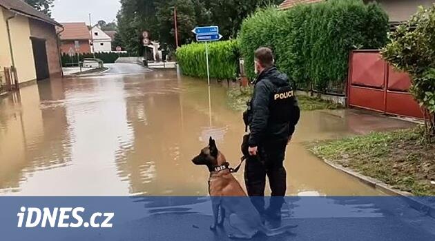 Moravian -Sesian bölgesinde daha fazla cinayet vardı, ancak daha fazla ahlaki suç var
