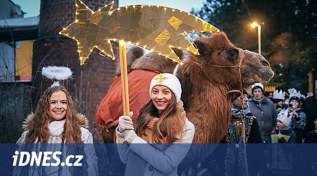 Plana'da 509 kral ve bir deve olmak üzere üç kral rekorunu kırdılar