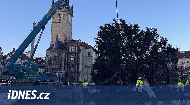 Noel ağacı Eski Şehir Meydanı'ndan kayboldu. Dış mekan mobilyası olacak