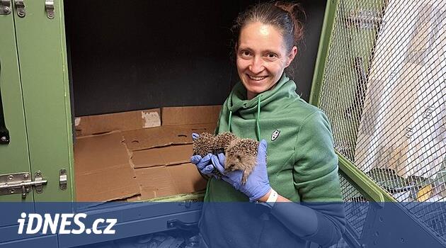 Hayvan Ambulansı Eylül ayından bu yana žďár'da faaliyet göstermeye başlıyor