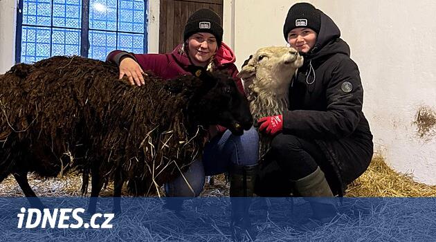 Çiftçiler bunun kalbimizi kırdığını söylüyor. Çiftlikte acı çeken 6 hayvanı gözaltına aldılar