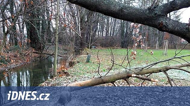 Yine o kunduzlar. Başka bir bölgede Přerov'u rahatsız ediyorlar, bu sefer bir toplu konutu yıkıyorlar