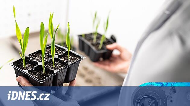 Spolu s Alešem Svobodou poletí do vesmíru i české zařízení na výzkum ječmene