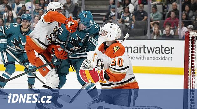 Brankář Dansk novou posilou pro Kladno. Chytal i v NHL, Plekanec věří: Pomůže nám