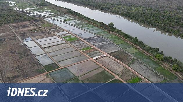 Afrika yavaş yavaş dünyanın gıda süper gücü haline geliyor