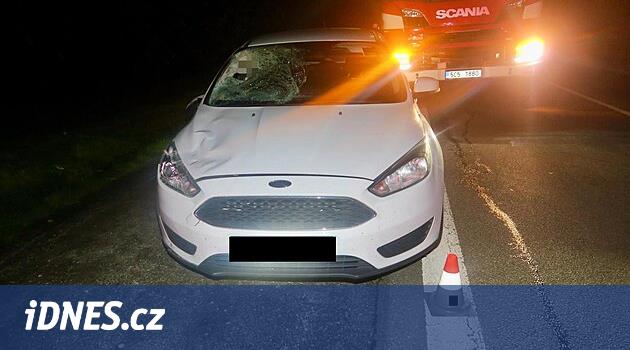 Český Krumlov bölgesinde Přísečná'da bir yaya ölümü, polis tanık arıyor