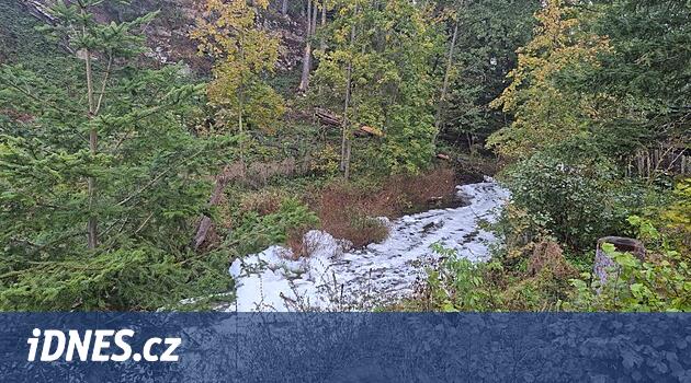 Havlíčkův Brod bölgesinde Doubrava Nehri'nin kirliliği, köpüklü su laboratuvarı inceler