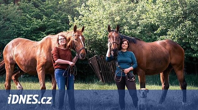 Karlovy Vary Veterinerleri ilk hafta sonu ayininde durmadı