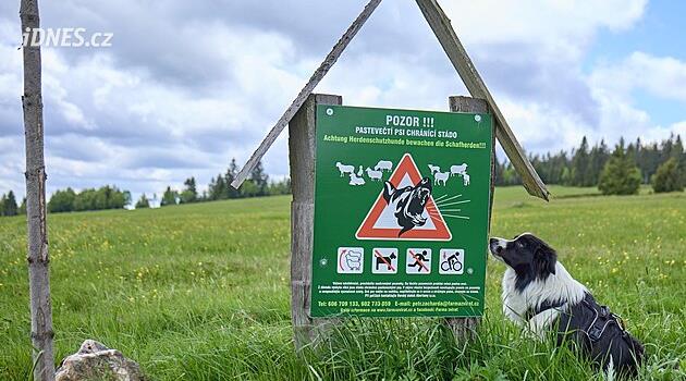 Ryžovna'daki inşaat referandumu geçerli, mahkeme temyiz şikayetini reddetti