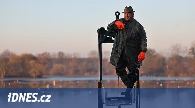 Bezruče'yi yakalayın. Sazan, turna ve sazan ağlara takıldı