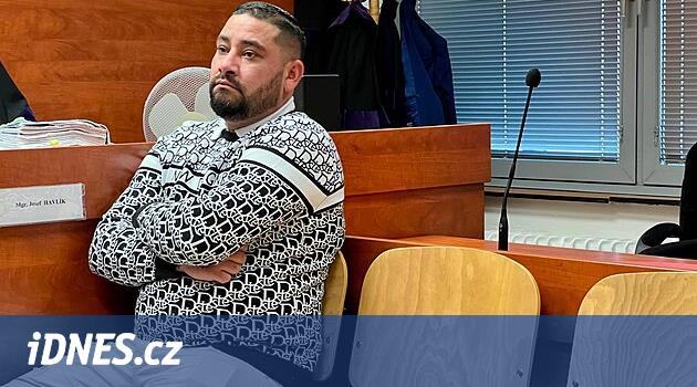 Vězení za napadení na koupališti v Dubí. Soudce kritizoval procesní chyby