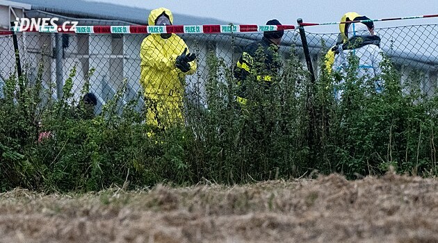 Kvůli salmonele v chovu likvidují na Budějovicku třicet tisíc nosnic. Asistuje policie