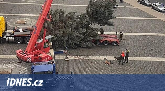 To se nepovedlo. Při zdvihání se zlomil vánoční strom. Vada dřeva, míní Ústí