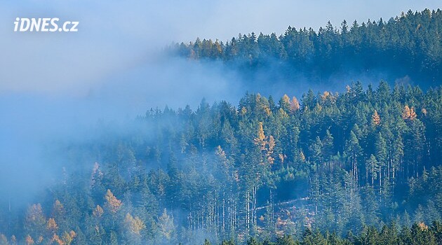 Meteorologové varují před silným větrem. Ve dvou oblastech zesílí na 70 km v hodině
