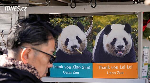 Japonsko bude poprvé po 50 letech bez pand, Siao Siao a Lej Lej se vrací do Číny