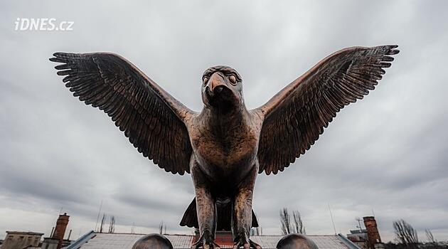 Bakır şahin 84 yıl sonra Nuslí'deki spor salonunun çatısına geri döndü