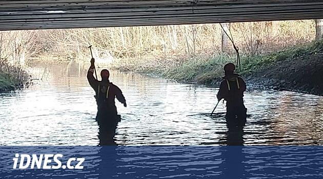 Moravya-Silezya polis memurları Ukraynalı genç bir kadının öldürülmesini açıkladı