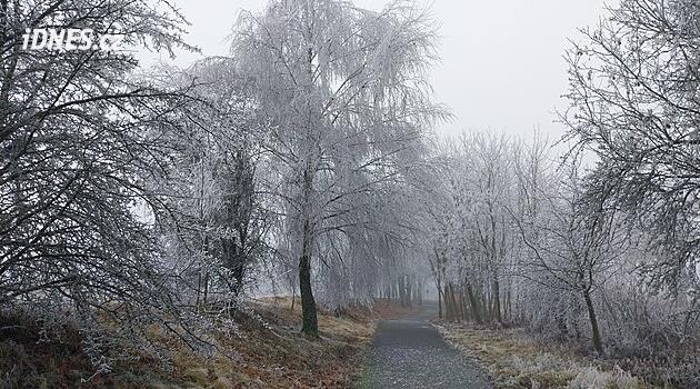 Bohemya-Moravya Yaylalarında buzun yanı sıra bir buzul da oluşmaya başladı