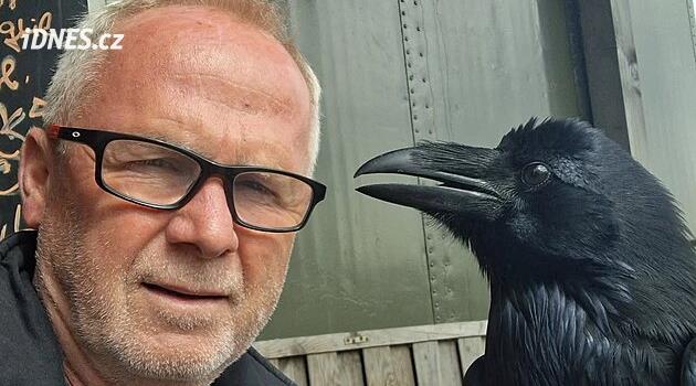 Hřebečná'daki Maringotka'da da kuzgunlar görev başında