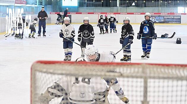 Hokejový svaz omezil mládeži do 14 let hru do těla - iDNES.cz