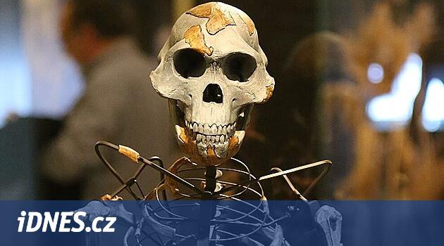 Etiopie půjčí do Prahy své nejstarší občanky. Jsou staré přes 3 miliony let
