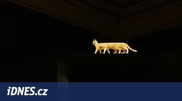 Orpheus, Google Street View'da Eurydika'yı arıyor. Rudolfinum yeni bir sergiye ev sahipliği yapıyor