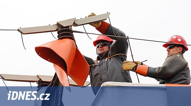 Yılda binlerce kuş elektrik hatlarında ölür, enerji oturumları değiştirmeyi başaramaz