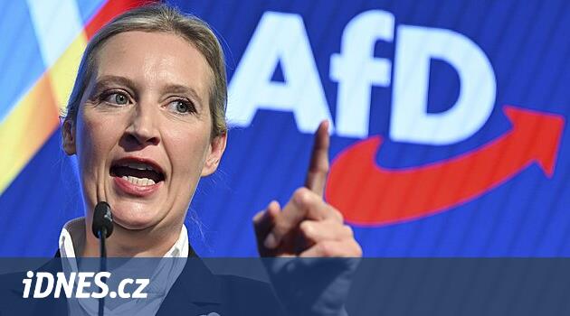 Zakázat, či nezakázat? Němci jsou v otázce přístupu k AfD rozděleni přesně napůl