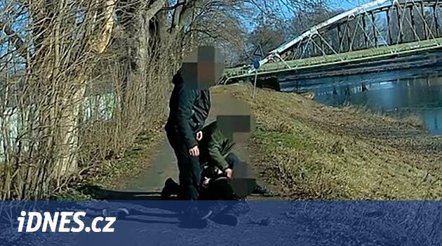 Polis müdahalesi iyiydi, Gibs'in katilin katillerini HRadec'teki tutukladığı söylendi