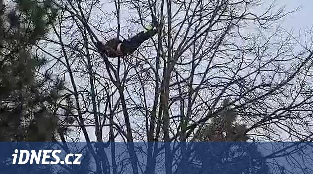 Parktaki garip ağaca tırmandı ve soyundu, sadece bir süre ayakları tarafından asıldı