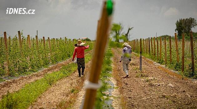 Farmář v Itálii nechal zraněného migranta umírat před domem. Dostal 16 let vězení