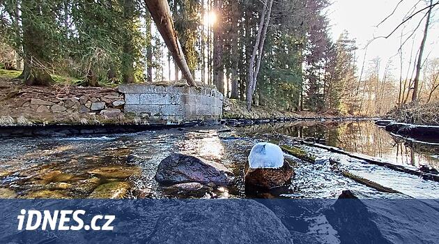 Z rechlí zbyla chatrná lávka. Památkářka zmapovala plavení dřeva na ...