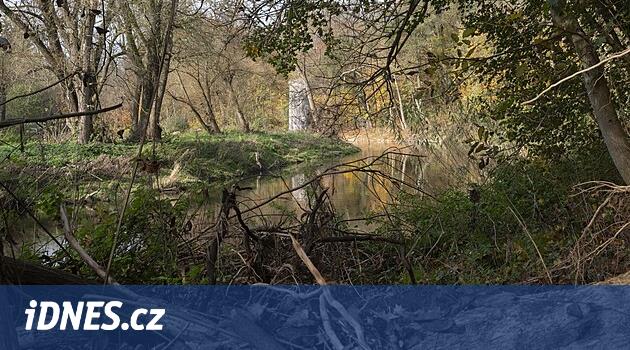 Daha az alan ve daha fazla sulak alan. Pardubice hayvanları çekmek ve suyu tutmak istiyor