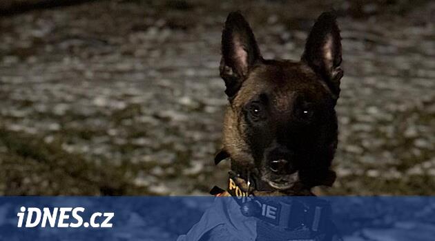 Çocuk evden kaçtı, t -shirt içinde ve karla dolaştı. Beş saat boyunca onu arıyorlardı