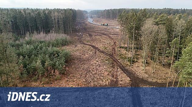 RMD, özel bir potansiyel müşteri ile PLA'da kimin benzersiz bir köprü kuracağını zaten biliyor