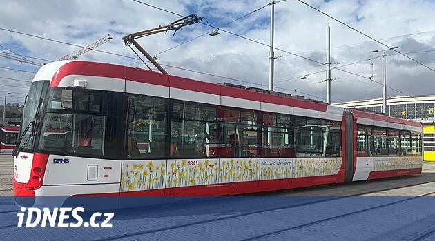 Bahar Tramvası Brno'da, çocuk resimleriyle dekore edilmiş ve petrklíče canlı
