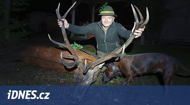 Başkent Danek veya Geyik, aynı zamanda bir porsuk. Avcılar kupaları ve nadiren ortaya çıkarır