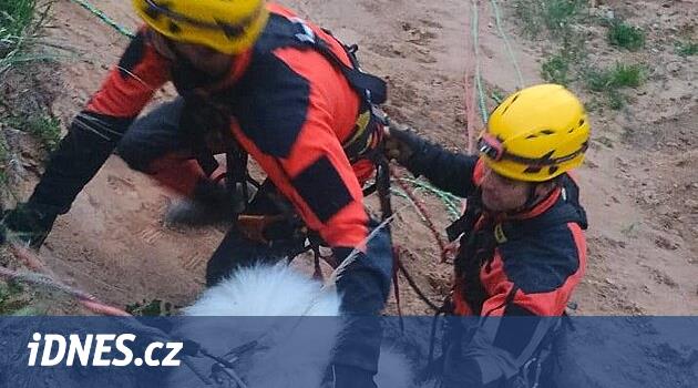 Polnička'daki Ocağıdan Bir Köpeğin Kurtarılması: İtfaiyeciler Yamaçta ona yardımcı oldu