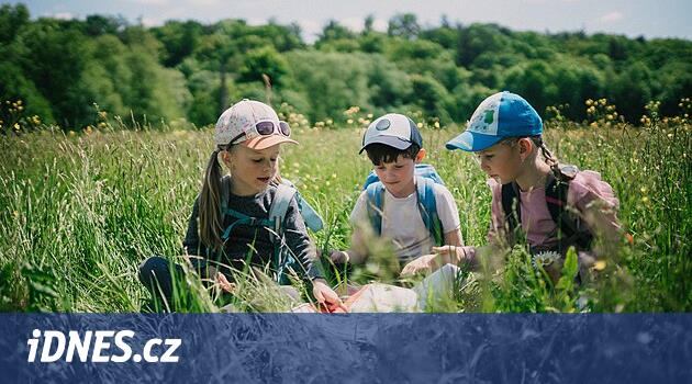 Cruise Game Çek Paradise'in yeni bir suçlaması var