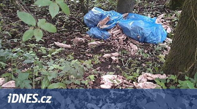 Novoborsko'daki ormanda biri ördek iskeletleri ile çantalardan kurtuldu