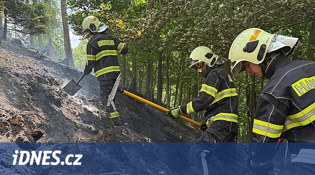 Karlovy değişen bölgede orman yangınları riski artar: İtfaiyeciler taktikleri değiştiriyor