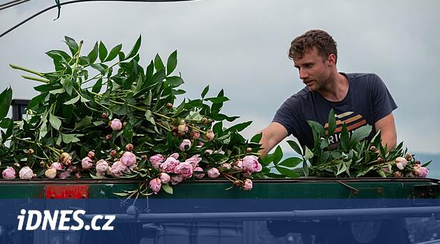 Grecman ailesi, Haná'daki Senica'nın en büyük çiftliğine sahiptir.